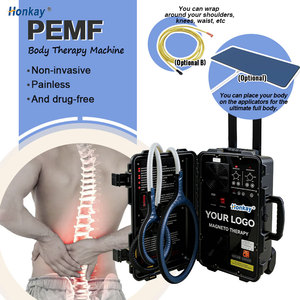 Appareil de massage PEMF le mieux noté pour soulager les douleurs musculaires, dispositif à double commande, directement de l'usine, pour usage personnel et équin - Product Image 1