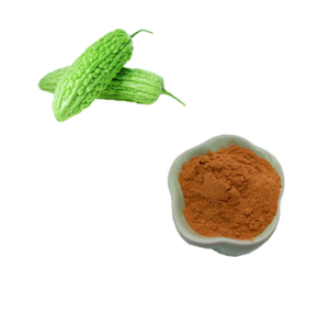 ZD 공급 순수 천연 쓴 멜론 추출물 분말 쓴 조롱박 추출물 10% 20% 30% - Product Image 3