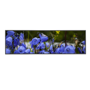 Écran LCD TFT IPS de 37 pouces de large, 1920×540 HD, interface LVDS, 700 Nits - Product Image 1