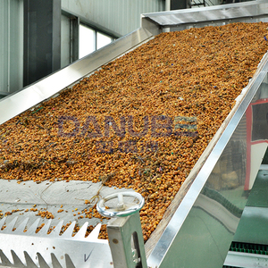 Advanced Herb Drying Machine Mesh Belt Dryer Rhizoma Corydalis Drying Machine Rhizoma Corydalis Cleaning and Drying Machine - Product Image 4