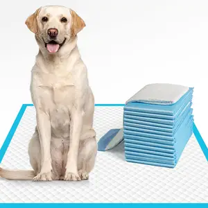 Venta caliente ODM portátil desechable entrenamiento de mascotas perros Pad cachorro entrenamiento Pad Mats perro orinar almohadillas para perros