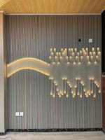 Panneau mural WPC avec éclairage LED à changement de couleur intelligent, télécommande, longueur personnalisée, température de couleur réglable