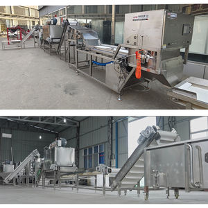 Línea de Producción Industrial para el Procesamiento de Ajo, Máquina Peladora y Separadora de Ajo Eléctrica Automática de Acero Inoxidable 304, Diseño Personalizado - Product Image 2