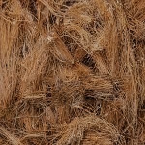 Fibre de noix de coco naturelle de haute qualité pour matelas brosses cordes tapis de culture paillis fibre de coco vente en gros de l'Inde - Product Image 1