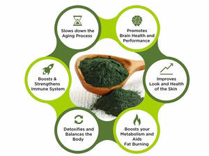 Melhor Qualidade EU USDA Spirulina Orgânica Comprimidos, Spirulina Cápsulas, Spirulina Em Pó - Product Image 5