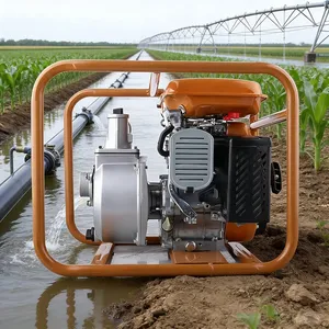 Pompe à <span class=keywords><strong>eau</strong></span> à moteur essence haute pression 2, 3, 4 pouces, 6,5 CV, 7,5 CV, moteur essence 170F <span class=keywords><strong>pour</strong></span> l'irrigation - Product Image 5