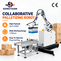 Machine de palettisation robotisée collaborative automatique, système de palettisation, palettiseur/robot automatique pour l'emballage des sacs de riz
