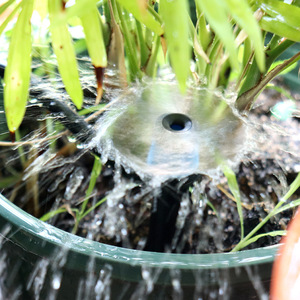Goutteur réglable 13 cm noir avec capuchon bleu en PP, buse champignon à ressort 360 degrés pour irrigation goutte à goutte des vergers - Product Image 4