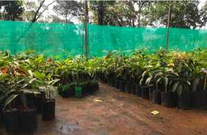Sacs de culture en tissu noir avec trous de drainage, 18 gallons, résistants et respirants, pour la plantation de légumes et de fleurs dans le jardin - Product Image 5