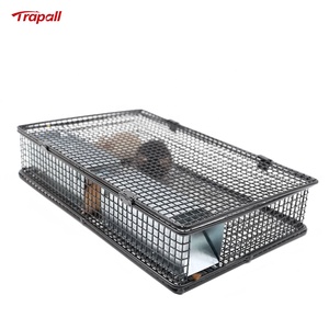 Humane Live Mouse Squirrel Capture Metal Mesh Attraper en continu 25 Piège à cage à rats - Product Image 2