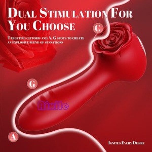 Vibrateur rose pour adultes, jouet sexuel rose, vibromasseur pour femme et couple avec 10 modes de vibration, pour stimulation anale, clitoridienne, des mamelons et du point G. - Product Image 3