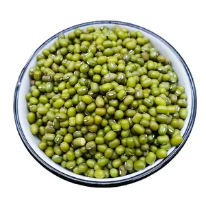 Sprouting green mung bean selected Dal mung bean for food , sprouting , size 2.6-3.6 mm