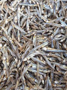 Anchoa de pescado secado al sol de Grado Superior-Pescado Premium Mariscos Anchoa seca Pescado de Loto Azul Vietnam - Product Image 5