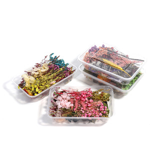Dried Flower Craft Kit Mixed Preserved Flowers For Handmade Decor Yiwu Origin Ac0659 - Product Image 4