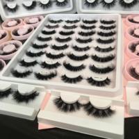 Les vendeurs de boîtes d'emballage de cils de luxe avec logo personnalisé offrent des étuis à cils vides pour faux cils de vison