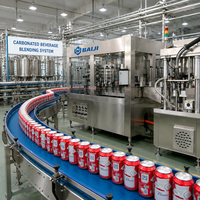 Solution clé en main pour l'emballage rotatif de boissons gazeuses en canettes d'aluminium, équipement de mise en conserve de boissons énergisantes carbonatées au CO2