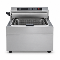 Friteuse verticale de table pour poulet frit, frites, jambon et saucisses