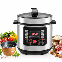 Cuisinière électrique multifonctionnelle numérique avec plusieurs programmes de cuisson pour riz, soupes, ragoûts de viande et repas faits maison