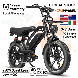 Bicicleta Eléctrica QMHEEL V20 Limited 48V con Llantas Anchas, Bicicleta Eléctrica Urbana con Batería de Litio y Suspensión Delantera y Trasera para Tiendas de Bicicletas, Suministro B2B - Product Image 1