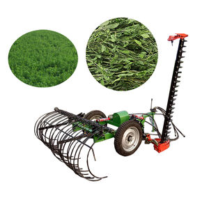 <span class=keywords><strong>Rastrello</strong></span> Paesaggistico, Macchina per Falciatura del Trifoglio, Tagliaerba, Tosaerba - Product Image 2