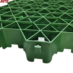 <span class=keywords><strong>Grille</strong></span> <span class=keywords><strong>de</strong></span> pavage en gazon NETE HDPE modèle G7, design <span class=keywords><strong>moderne</strong></span> en nid d'abeille pour allées et parkings - <span class=keywords><strong>Protection</strong></span> du gazon facile à installer - Product Image 5