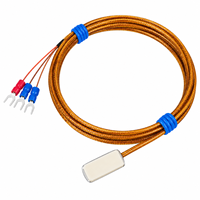 Sonde de température Pt100 à adsorption magnétique, tête de détection de surface, type patch d'aspiration, OEM, indice de protection IP65, garantie 1 an