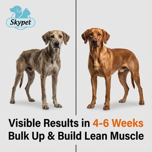Complément alimentaire pour chiens maigres, <span class=keywords><strong>gain</strong></span> de poids, musculation, gommes à mâcher riches en protéines, OEM/ODM, prix d'usine - Product Image 2