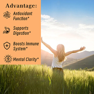 Gomitas de Moringa de Rápida Absorción que Fomentan la Concentración Mental y Mantienen la Energía y Vitalidad de Forma Natural, Suplemento Dietético - Product Image 4