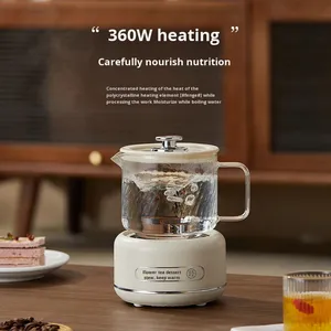 Bouilloire multifonctionnelle allemande pour la santé, tout-en-un, 360W, 1L, petite bouilloire en verre pour le bureau, bouilloire à eau, théière - Product Image 2