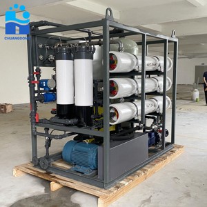 Thiết kế chuyên dụng 30t/D Hệ thống khử mặn nước biển cho nuôi cá và nuôi trồng thủy sản phù hợp nước chất lượng cao - Product Image 6