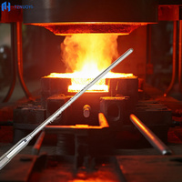 WRNK-191 OEM/ODM Sonde de température blindée flexible à isolation minérale, thermocouple de type K, 0-1300°C, haute température, MgO, IP65