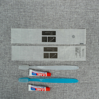 Ensemble de brosses à dents de voyage écologiques Brosse à dents et dentifrice en plastique jetables portables