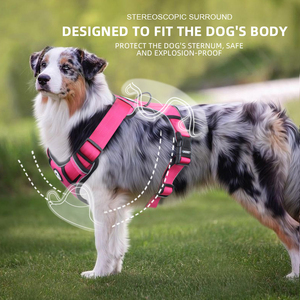 小中型および大型犬用ハーネスクラシックセキュリティチェストプルナイロンペットハーネスなし調節可能な反射ステップインドッグハーネス - Product Image 5