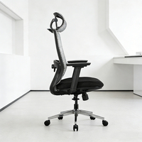 Chaise de bureau ergonomique avec réglage en hauteur, soutien lombaire - pour un usage domestique, chaise de direction en plastique