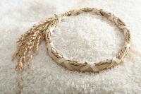 Moulin à Riz Combiné Automatique de 1 Tonne par Heure à Usage Commercial pour le Décorticage du Riz Basmati du Népal, Usine de Traitement du Riz aux Philippines