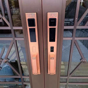 Porte de <span class=keywords><strong>villa</strong></span> de luxe dorée serrure de porte antivol double porte reconnaissance faciale téléphone portable surveillance à distance serrures de porte intelligentes - Product Image 3