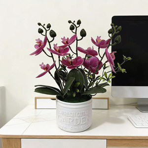 Orchidée Phalaenopsis artificielle Paulon, 27 cm de haut, fleurs blanches, plante en pot en plastique souple pour la décoration intérieure - Product Image 2