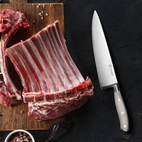 Couteaux à steak à lame dentelée Asiakey en ABS blanc Ensemble de couteaux à steak en acier inoxydable de 4.5 pouces pour restaurant occidental