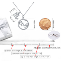 Collier avec pendentif signe du zodiaque en argent sterling 925, cadeaux d'anniversaire, 12 constellations