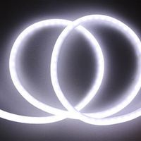 Bande LED ronde IP65 flexible et dimmable, néon flexible RGB personnalisé à 360 degrés, 24V PVC, télécommande pour jardin