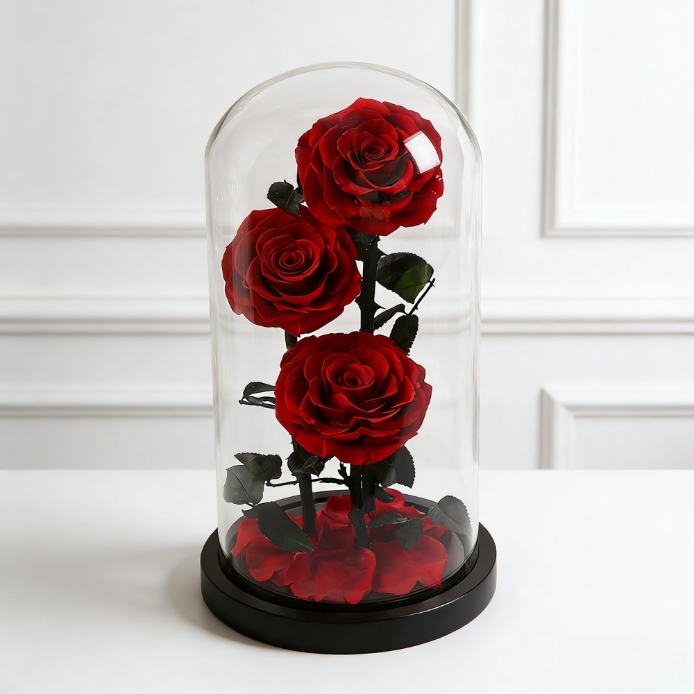 Rouge 15*31cm (3 Roses)