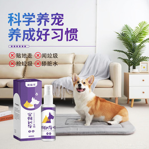 Pet <b>Training</b> Spray Bottle <b>Potty</b> <b>Training</b> Aid For Dogs Deodorant - Product Image 1