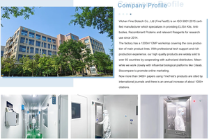 2 laboratuvar kimyasalları Elisa kitleri gibi insan NFE2L2 nükleer faktör, eritroid türetilmiş 2 satın - Product Image 6