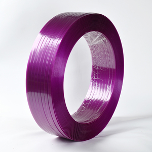 Chất lượng cao 16mm Hướng dẫn sử dụng đóng gói vật nuôi đóng đai cuộn cho bao bì - Product Image 1