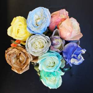 400毫升Aeropak花朵喷雾保持花朵颜色更加充满活力 - Product Image 2