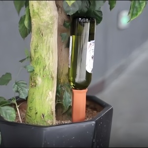 Il Funzionamento di Terracotta Irrigazione Spike Bottiglia-Impianto di Trattamento Delle Acque, Pianta di Auto Sistema di Irrigazione <span class=keywords><strong>per</strong></span> Pianta Waterer - Product Image 6