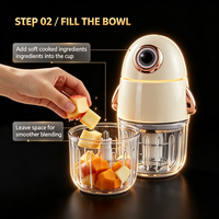 Robot culinaire électrique efficace pour bébé, utilisation à domicile et en voiture, 300 ml, 250 W, lame en acier inoxydable 304, verre borosilicate, faible bruit