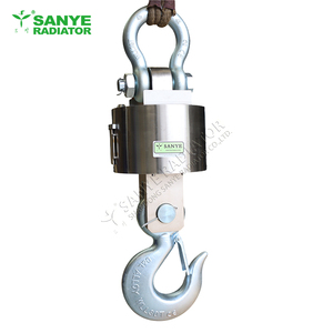 30 tấn in ấn <span class=keywords><strong>Crane</strong></span> quy mô thép không gỉ Xe đẩy móc quy mô cần cẩu các bộ phận - Product Image 2