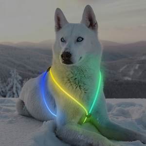 Arnés para perro de fibra óptica USB de estilo moderno, chaleco LED brillante, diseño clásico a rayas para caminar de noche, <span class=keywords><strong>collar</strong></span> iluminado hecho de plástico - Product Image 4