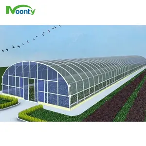 Wholesale Agricultural Tunnel Multi-dach Custom Nursery Commercial Tunnel Greenhouse